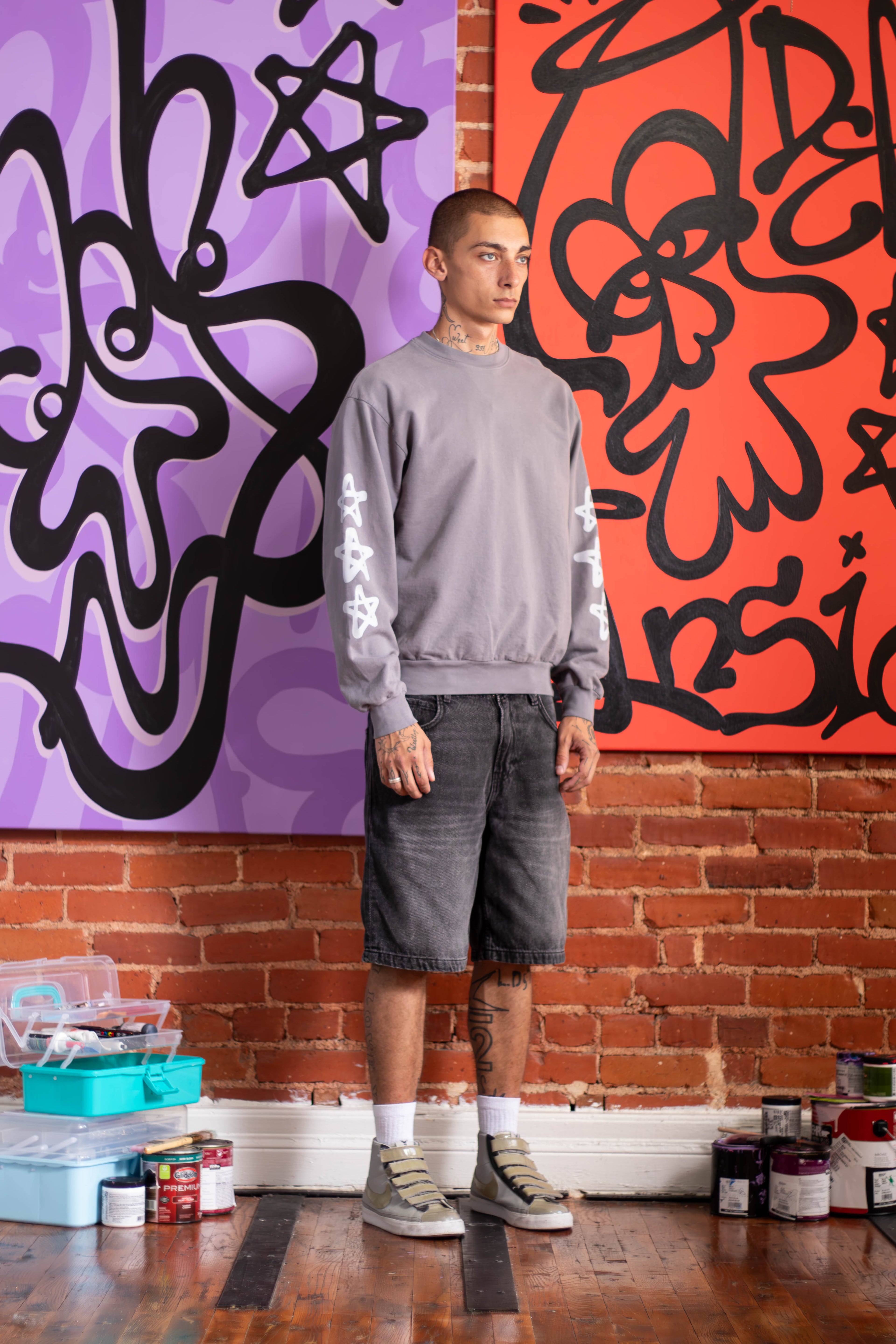 DINO LONGSLEEVE GREY